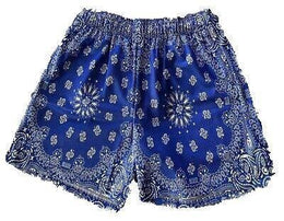 Bravest Studios Blue Paisley Shorts