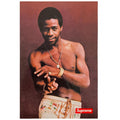 Supreme Al Green Autocollant