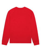 Denim Tears ADG Pan African American Flag Crewneck Red