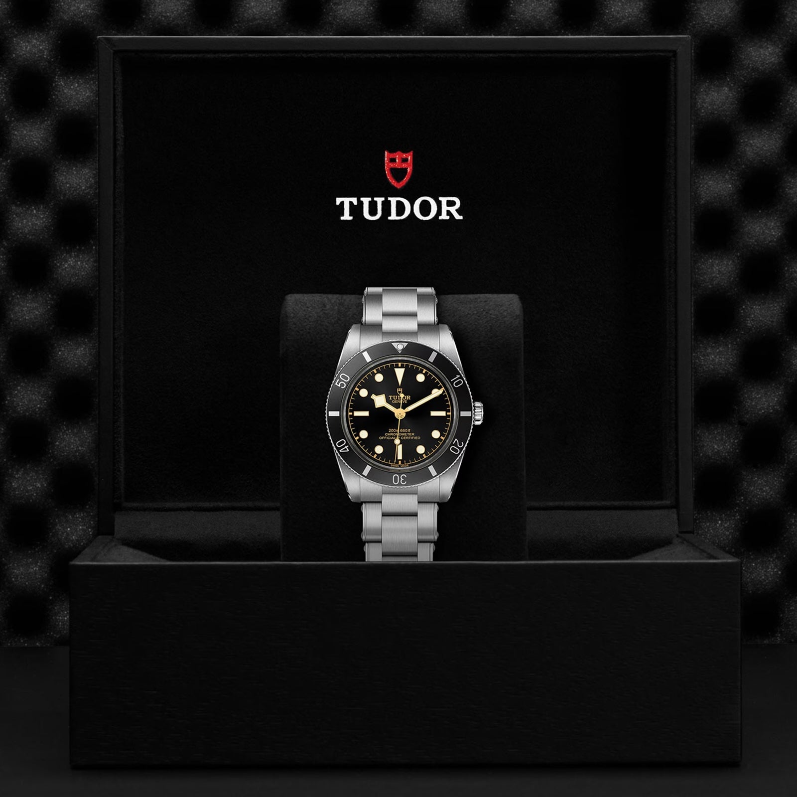 Tudor Black Bay 54 Watch Manufacture Calibre MT5400 (COSC) 37mm Steel Case Steel Bracelet (M79000N-0001)