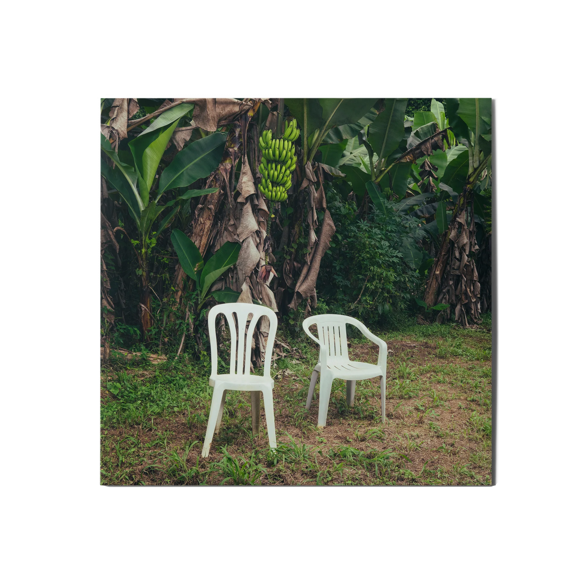 Bad Bunny DeBÍ TiRAR MáS FOToS Double Vinyl Gatefold