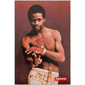 Supreme Al Green Sticker